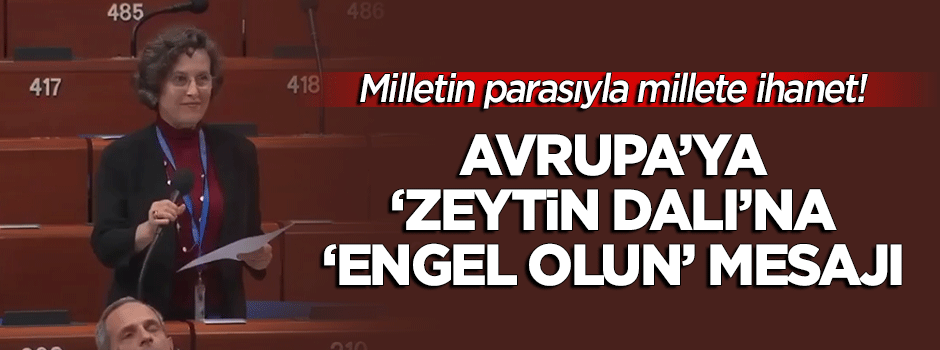 HDP'li vekil Zeytin Dalı Harekatı'nı Avrupa'ya şikayet etti
