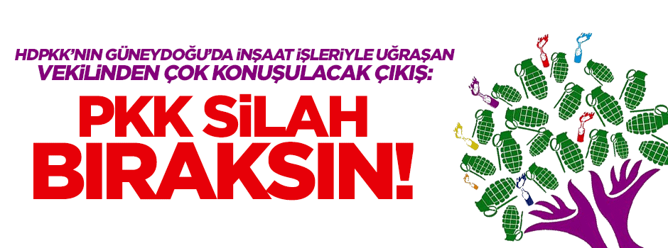 HDP'li vekilden flaş çıkış: PKK kayıtsız şartsız silah bıraksın