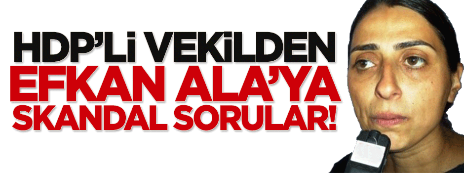 HDP'li vekilden İçişleri Bakanlığı'na skandal sorular!