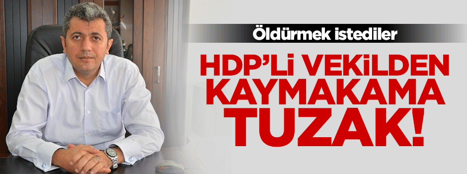 HDP'li vekilden kaymakama tuzak!