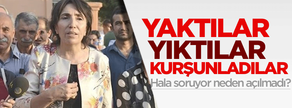 HDP'li vekil'den meclise soru önergesi