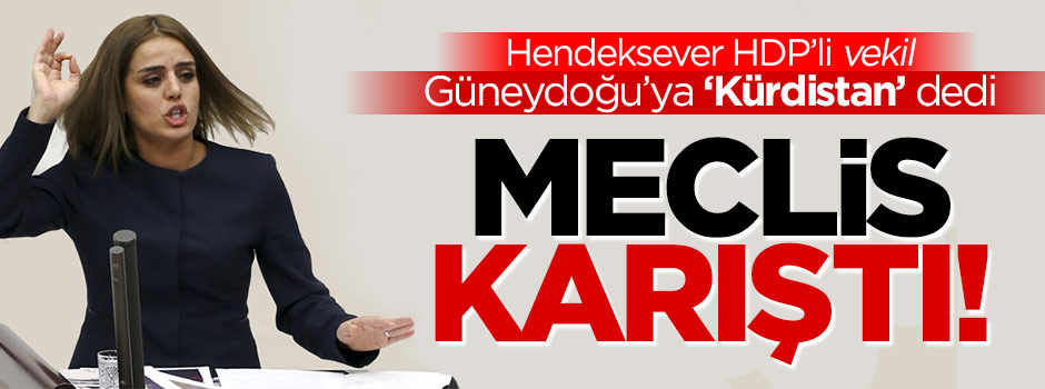 HDP'li vekilden Meclis'te skandal sözler!
