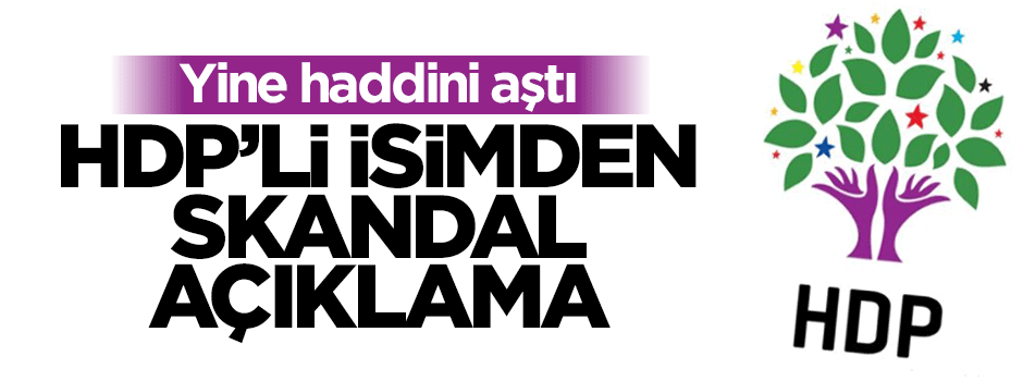 HDP'li vekilden skandal sözler