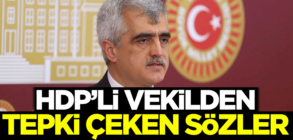 HDP'li vekilden tepki çeken sözler