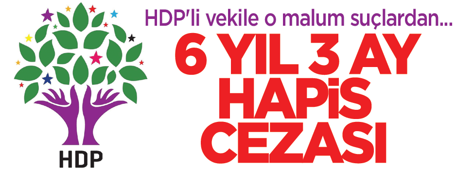 HDP'li vekile 6 yıl 3 ay hapis cezası