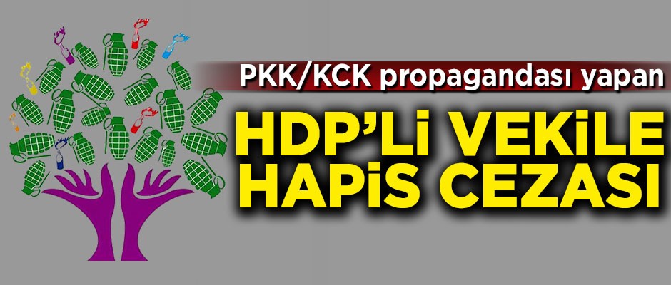 HDP'li vekile hapis cezası!