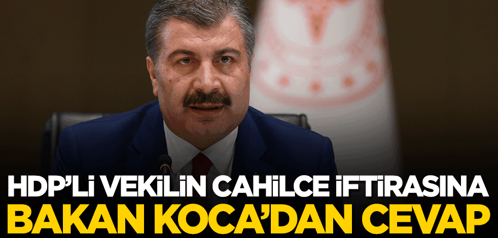 HDP'li vekilin cahilce iftirasına Bakan Koca'dan cevap