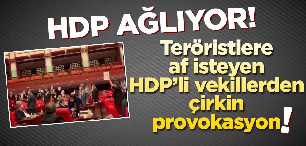HDP'li vekiller, infaz yasası terörü desteklemediği için tepkilerini masalara vurarak gösterdi
