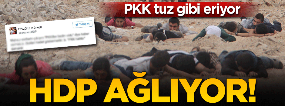 HDP'li vekiller PKK'ya ağlıyor!