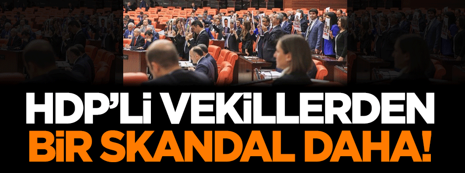 HDP'li vekillerden bir skandal daha!