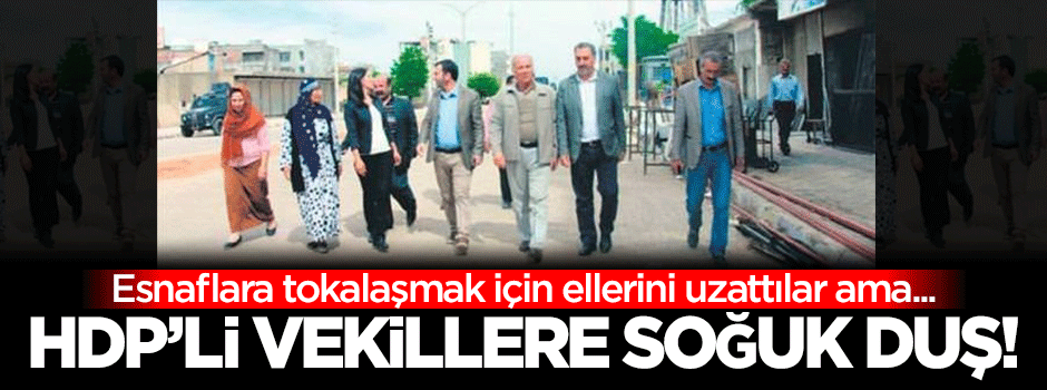 HDP'li vekillere halktan soğuk duş!