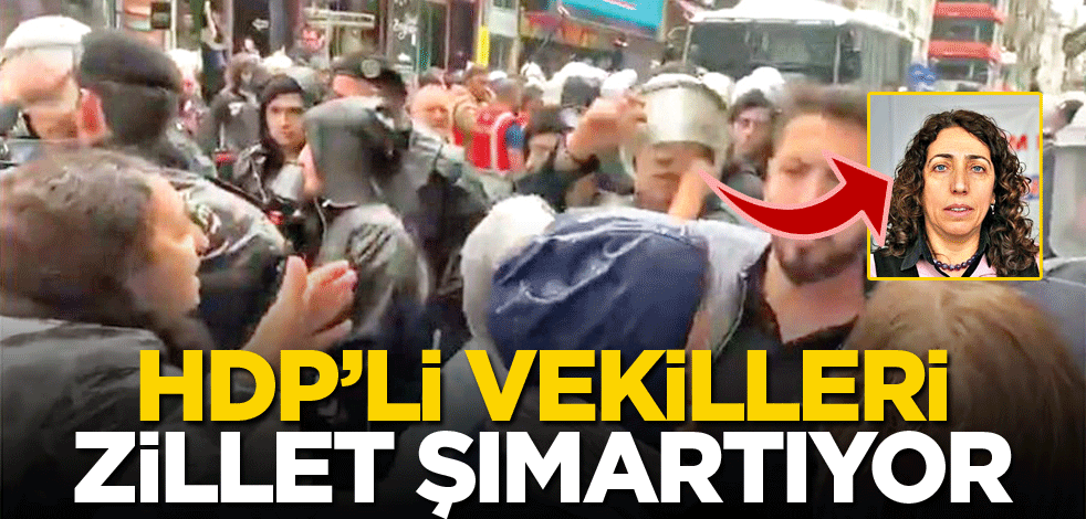 HDP’li vekilleri Zillet şımartıyor