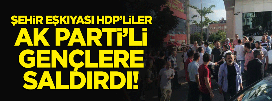 HDP'liler broşür almayan AK Parti'li gençlere saldırdı!