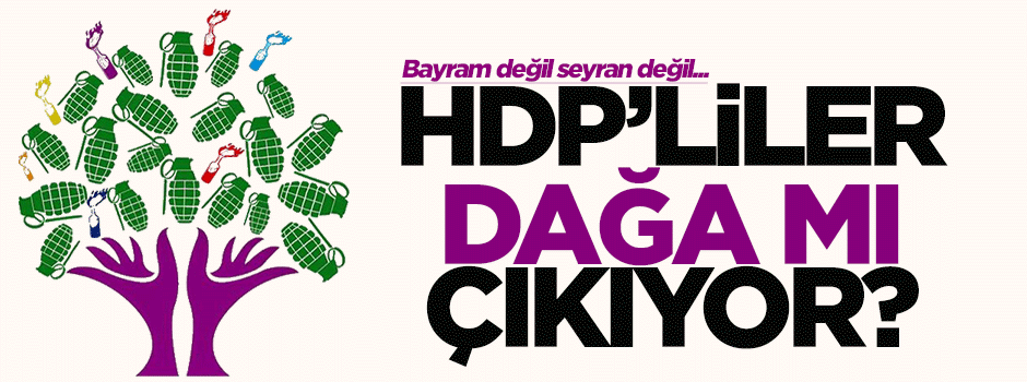 HDP'liler Kandil'e mi çıkıyor?