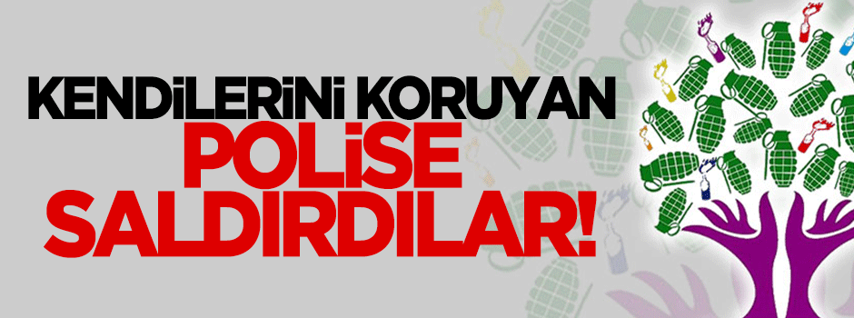 HDP'liler kendilerini koruyan polise saldırdı!