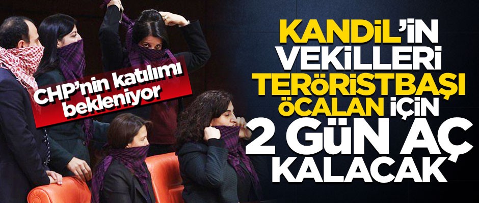 HDP'liler Öcalan için Meclis'te açlık grevi yapacakmış!