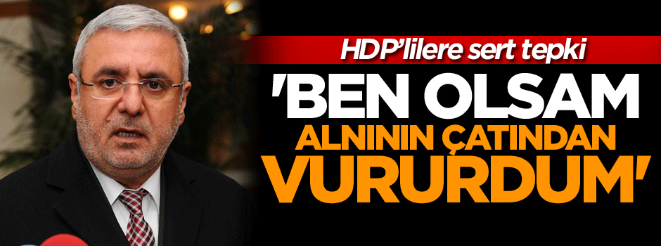 HDP’lilerin FETÖ iddialarına sert tepki: Ben olsam alnının çatından vururdum