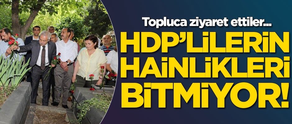 HDP'lilerin hainlikleri bitmiyor! Topluca ziyaret ettiler...