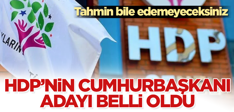 HDP'nin cumhurbaşkanı adayı belli oldu! Tahmin bile edemeyeceksiniz