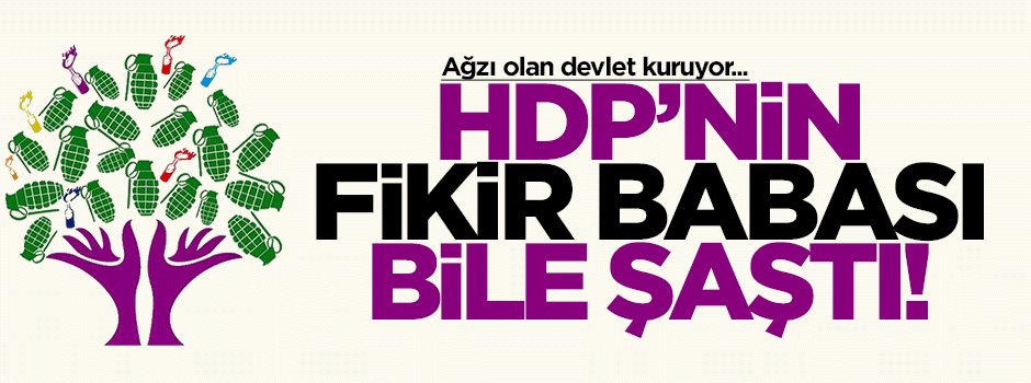HDP'nin fikir babası: Türkiyelileşme, Kürtler’de milli bilinci azaltıyor
