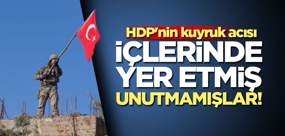 HDP'nin kuyruk acısı! Afrin'i unutmamışlar