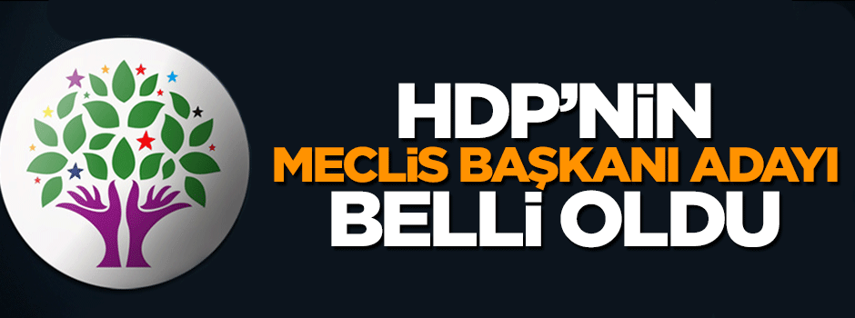 HDP'nin Meclis başkan adayı belli oldu