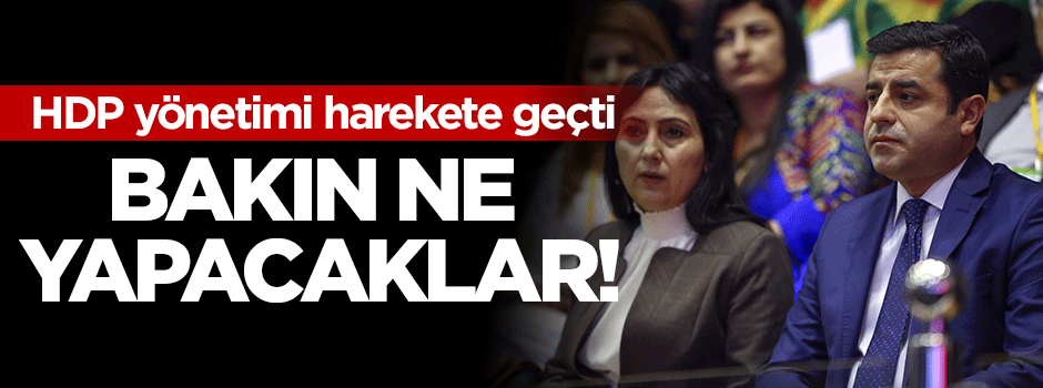 HDP'nin ne yapacağı belli oldu