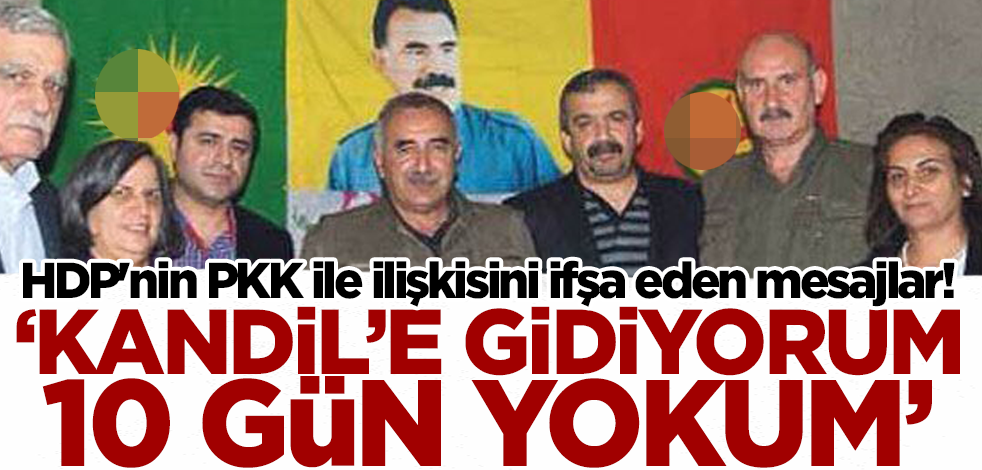HDP'nin PKK ile ilişkisini ifşa eden mesajlar! Sırrı Süreyya Önder: Kandil'e gidiyorum 10 gün yokum