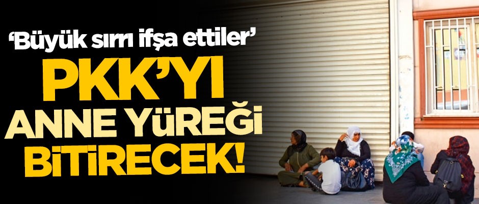 HDP'ye kepenk kapattırmışlardı! 'PKK'yı anne yüreği bitirecek!'