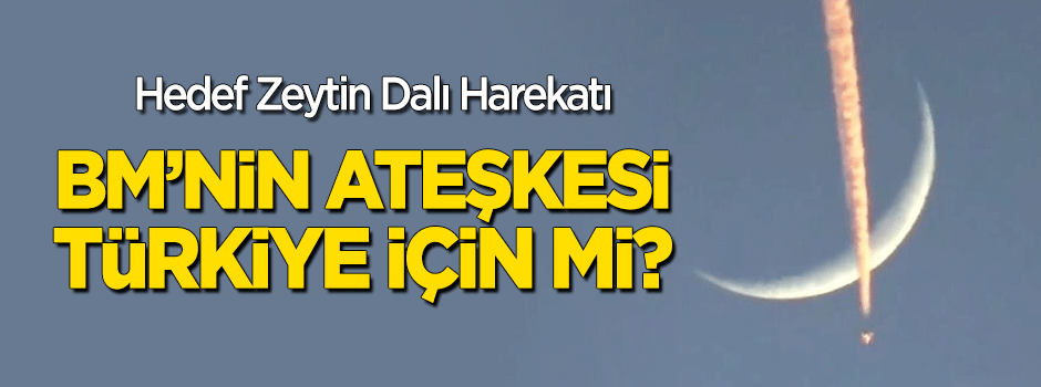 Hedef Zeytin Dalı Harekatı: BM'nin ateşkesi Türkiye için mi?