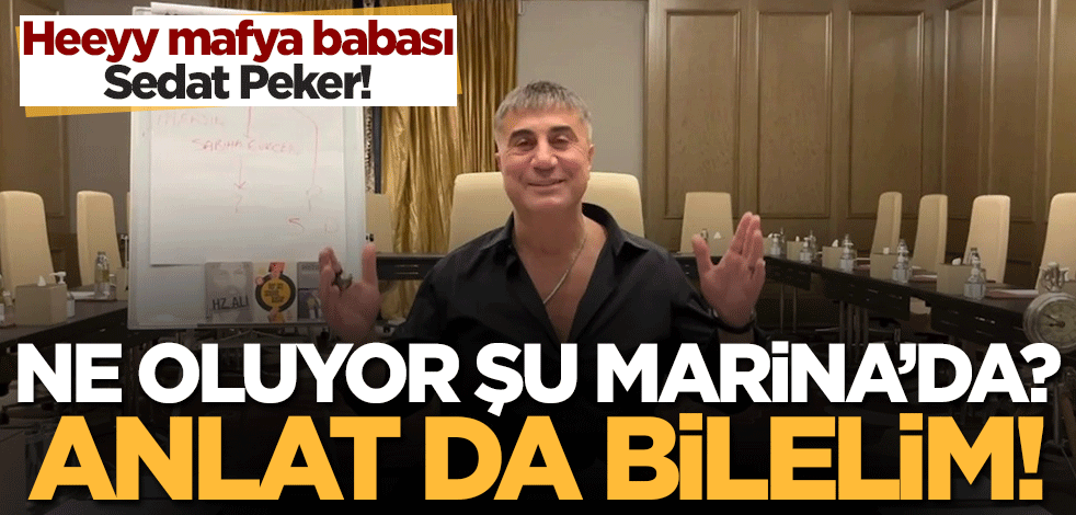 Heeyy mafya babası Sedat Peker.. Ne oluyor, şu Marina'da? Bir anlat da öğrenelim