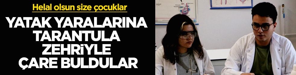 Helal olsun size çocuklar! Yatak yaralarına tarantula zehriyle çare buldular