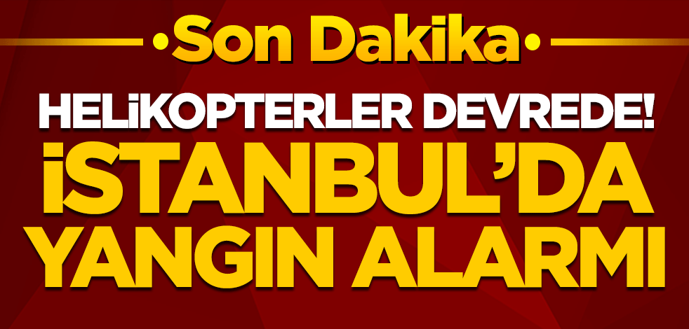 Helikopterler devrede! İstanbul'da yangın alarmı