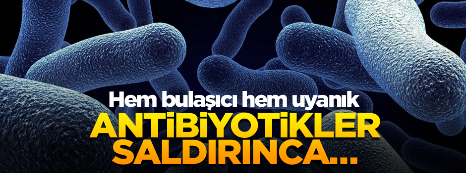 Hem bulaşıcı hem uyanık… Antibiyotikler saldırınca…