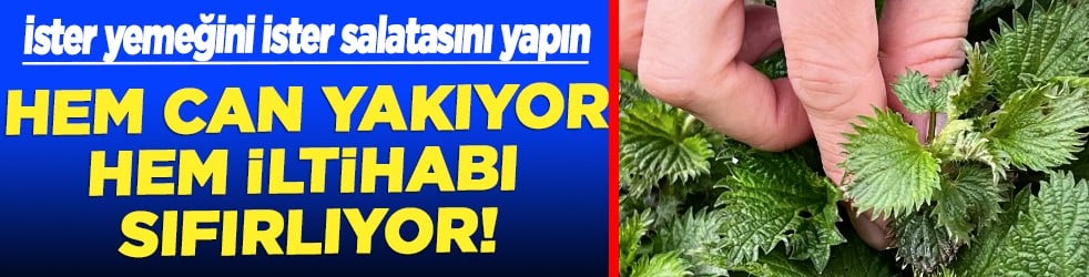 Hem can yakıyor hem iltihabı sıfırlıyor: İnflamasyon önleyici bileşikler...
