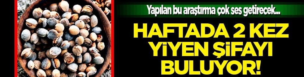 Hem fındık hem de ceviz... Haftada 2 gün yiyen şifa buluyor! Herkes bu lezzetin peşine düştü