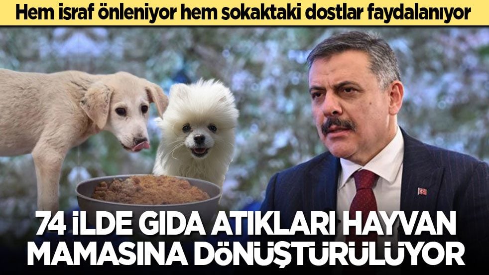 Hem israf önleniyor hem sokaktaki dostlar faydalanıyor! 74 ilde gıda atıkları hayvan mamasına dönüştürülüyor