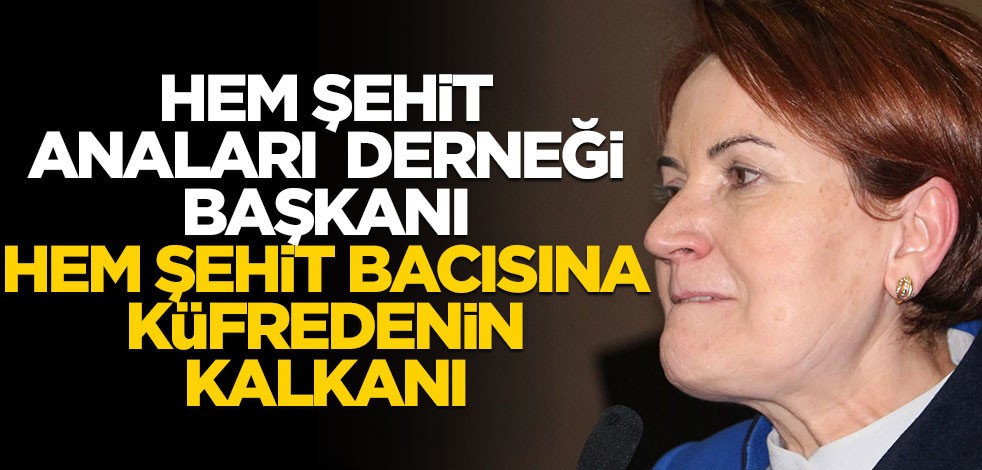 Hem Şehit Anaları Derneği başkanı, hem şehit bacısına küfredenin kalkanı