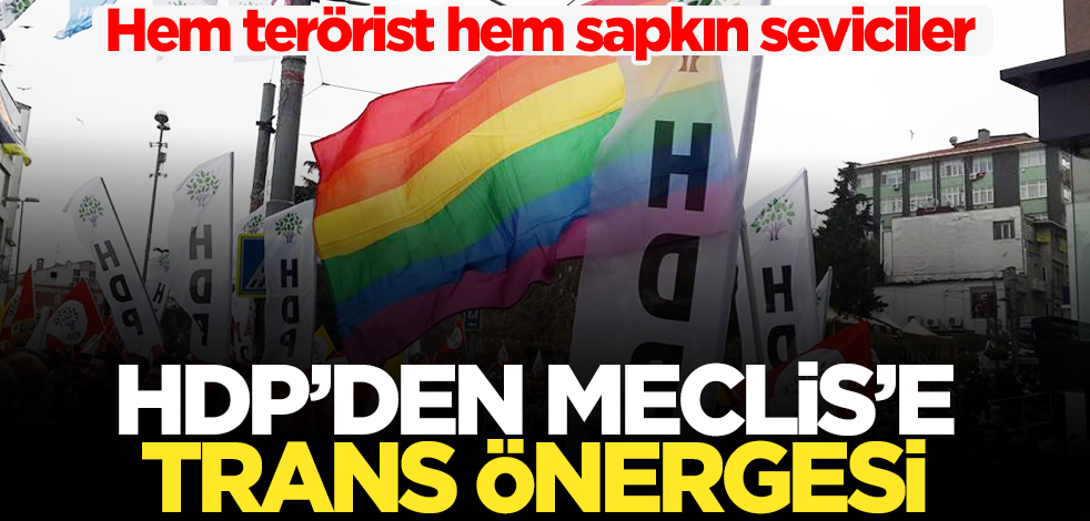 Hem terörist hem sapkın seviciler! HDP'den Meclis'e trans önergesi