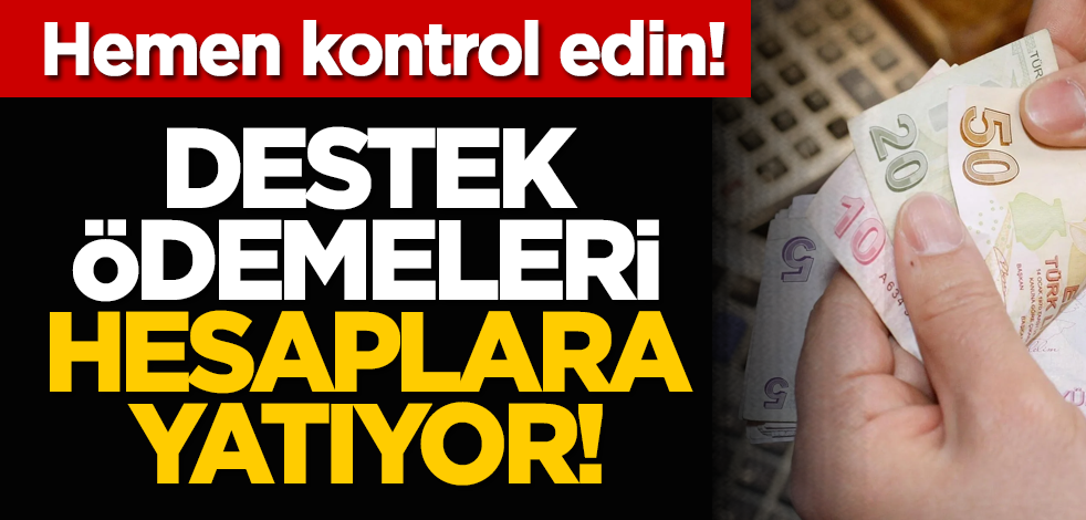 Hemen kontrol edin! Destek ödemeleri hesaplara yatıyor!