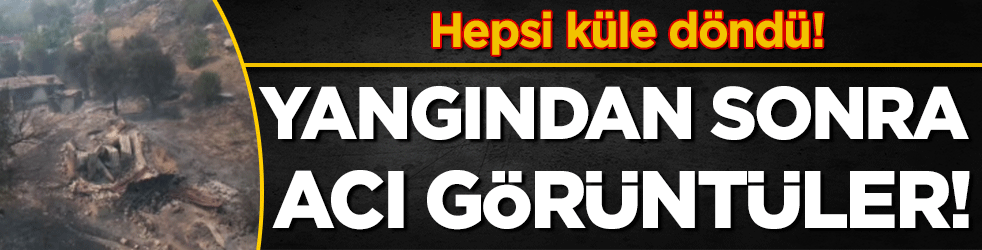 Hepsi kül oldu: Yangın sonrası acı manzara!