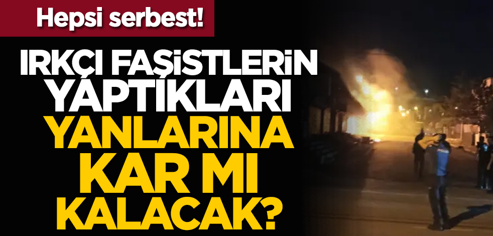 Hepsi serbest! Irkçı faşistlerin yaptıkları yanlarına kâr mı kalıyor?