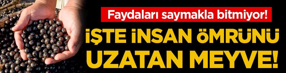 Hepsi vitamin deposu: İşte ömrü uzatan 7 süper meyve!