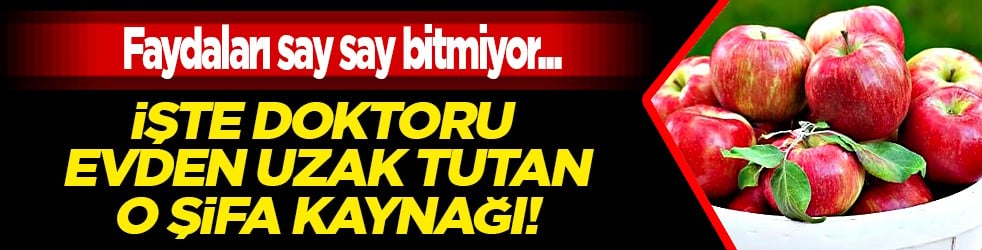 Her derde deva elmanın faydaları saymakla bitmiyor: Günde sadece 1 adet tüketin! İşte o verdiği şifalar...