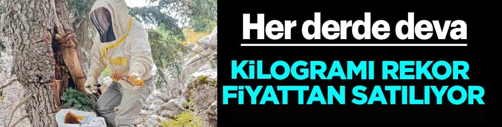 Her derde deva... Yıllardır Toroslar'da bal avcısı: Firari arıları dedektif gibi takip ediyor! 