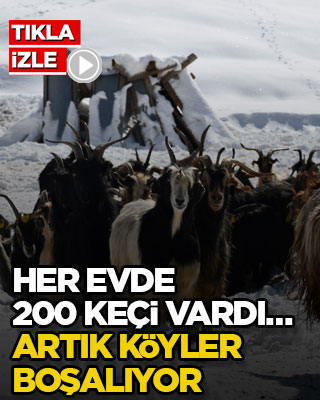 Her evde 200 keçi vardı… Artık köyler boşalıyor