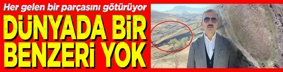 Her gelen bir parçasını götürüyor Dünyada bir benzeri yok