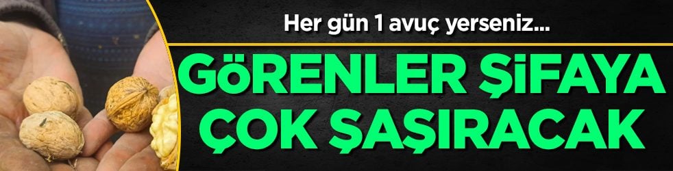 Her gün 1 avuç yerseniz... Görenler şifaya çok şaşıracak: Kolay kırılan İncecik kabuğunda şifa deposu saklı