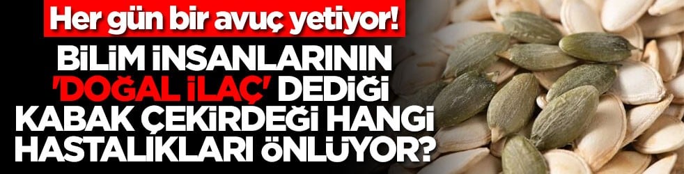 Her gün bir avuç yetiyor: Bilim insanlarının 'Doğal İlaç' dediği kabak çekirdeği hangi hastalıkları önlüyor?
