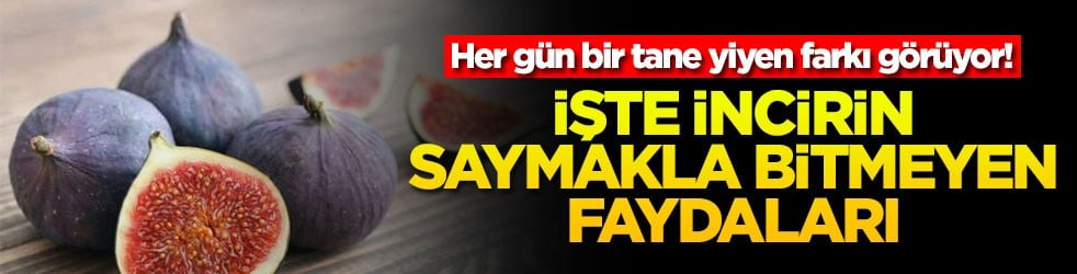 Her gün bir tane yiyen farkı görüyor! İşte incirin saymakla bitmeyen faydaları